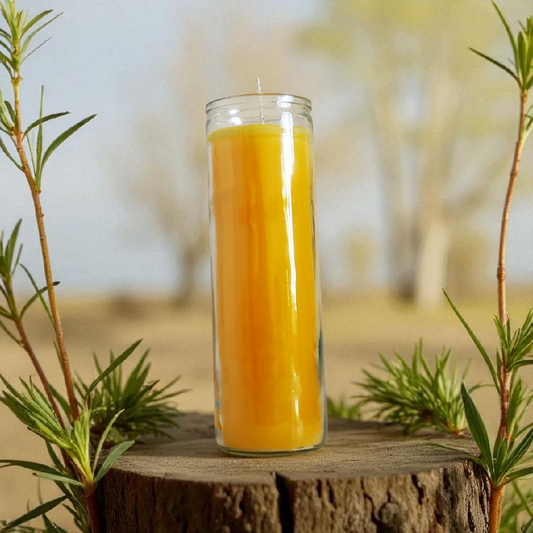 Bright yellow 7-Day candle in glass sits on a tree trunk with leaves in a sunlit dried forest, glowing vibrantly.